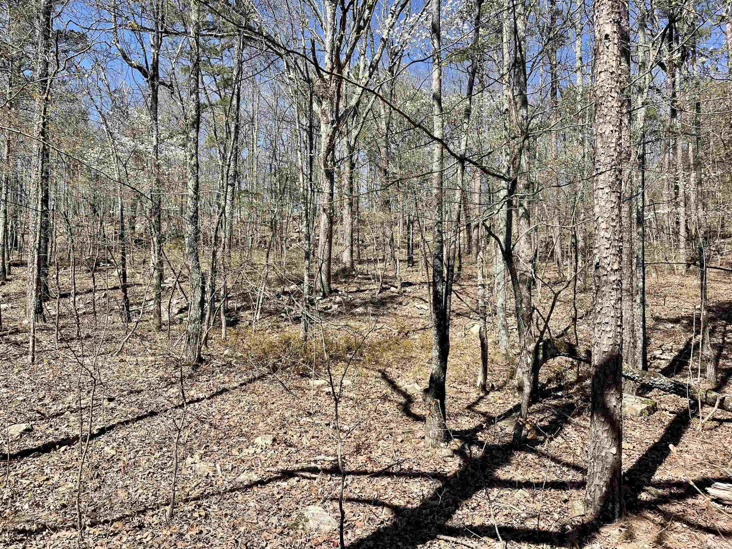 Not in Subdivision - Land