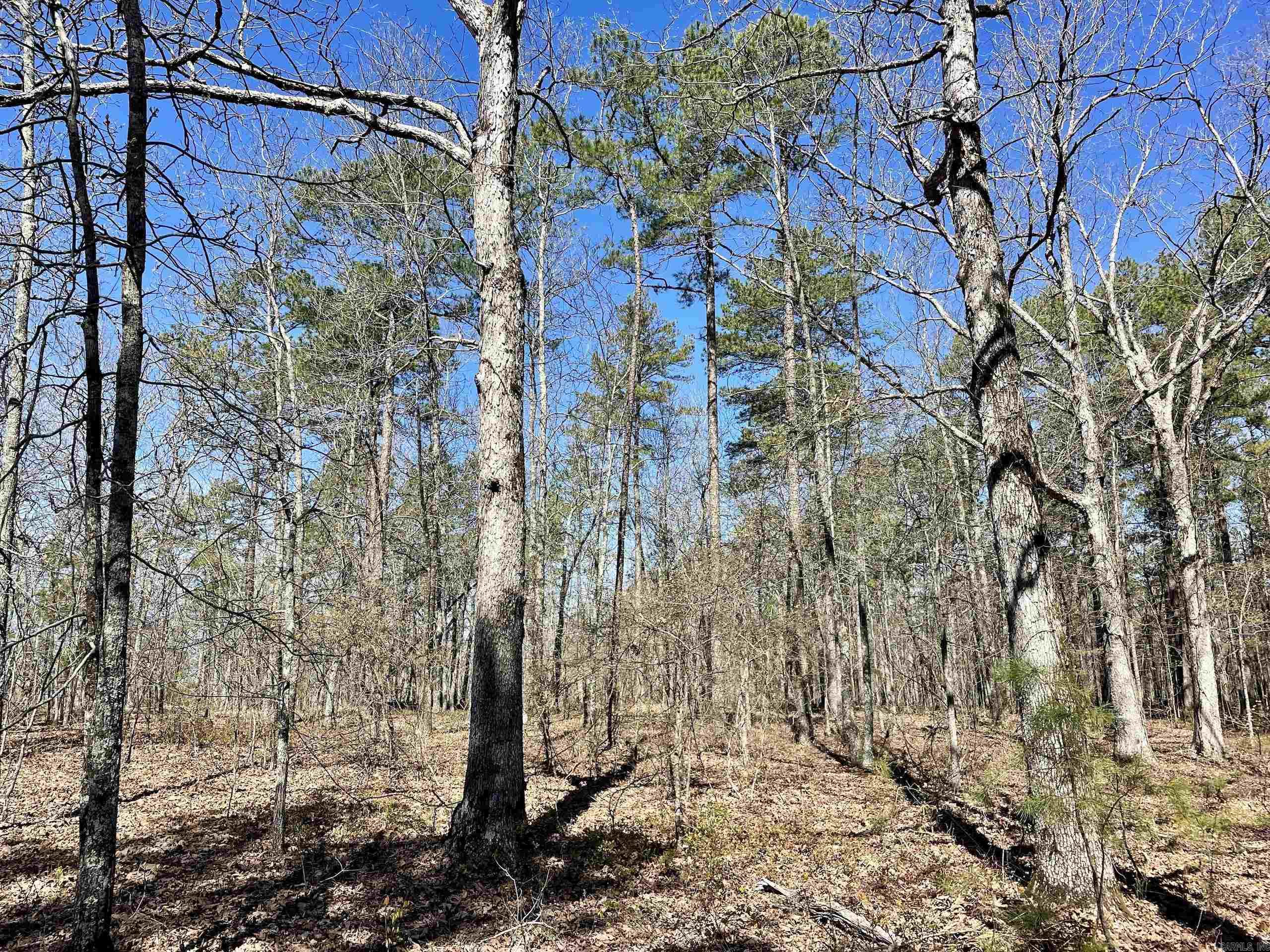 Not in Subdivision - Land