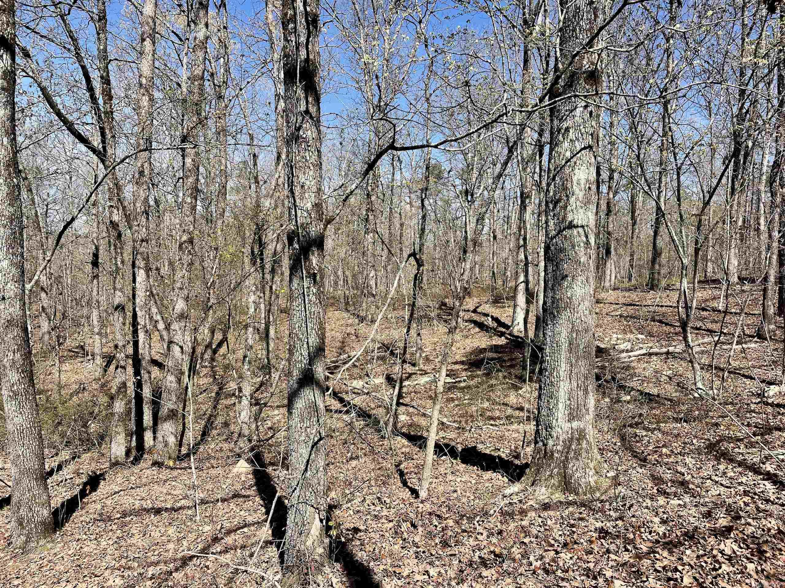 Not in Subdivision - Land