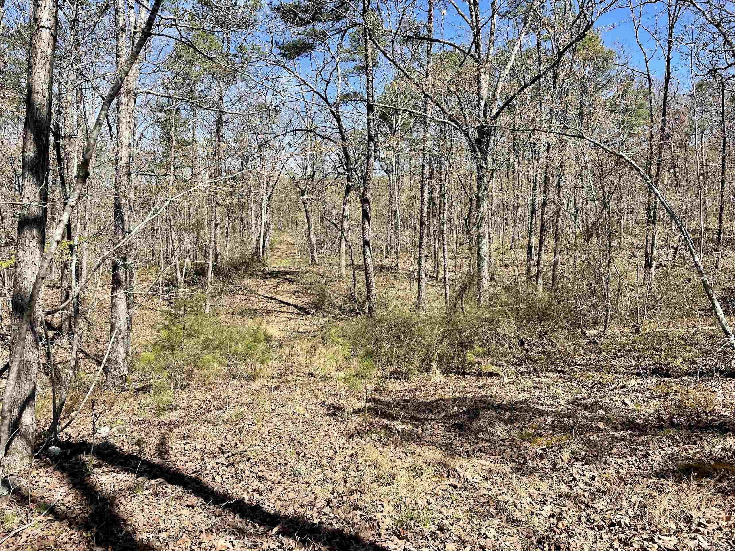 Not in Subdivision - Land