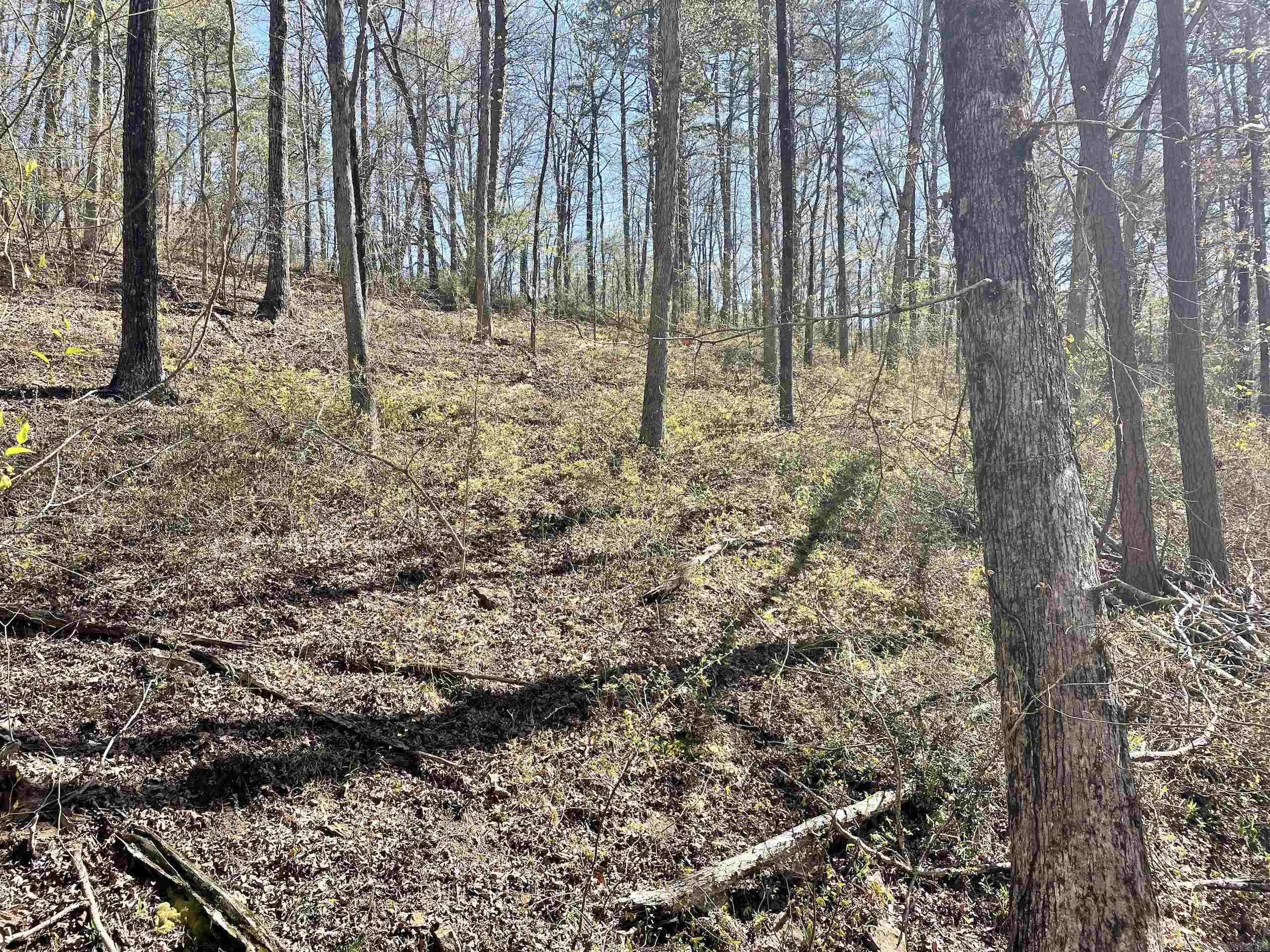 Not in Subdivision - Land