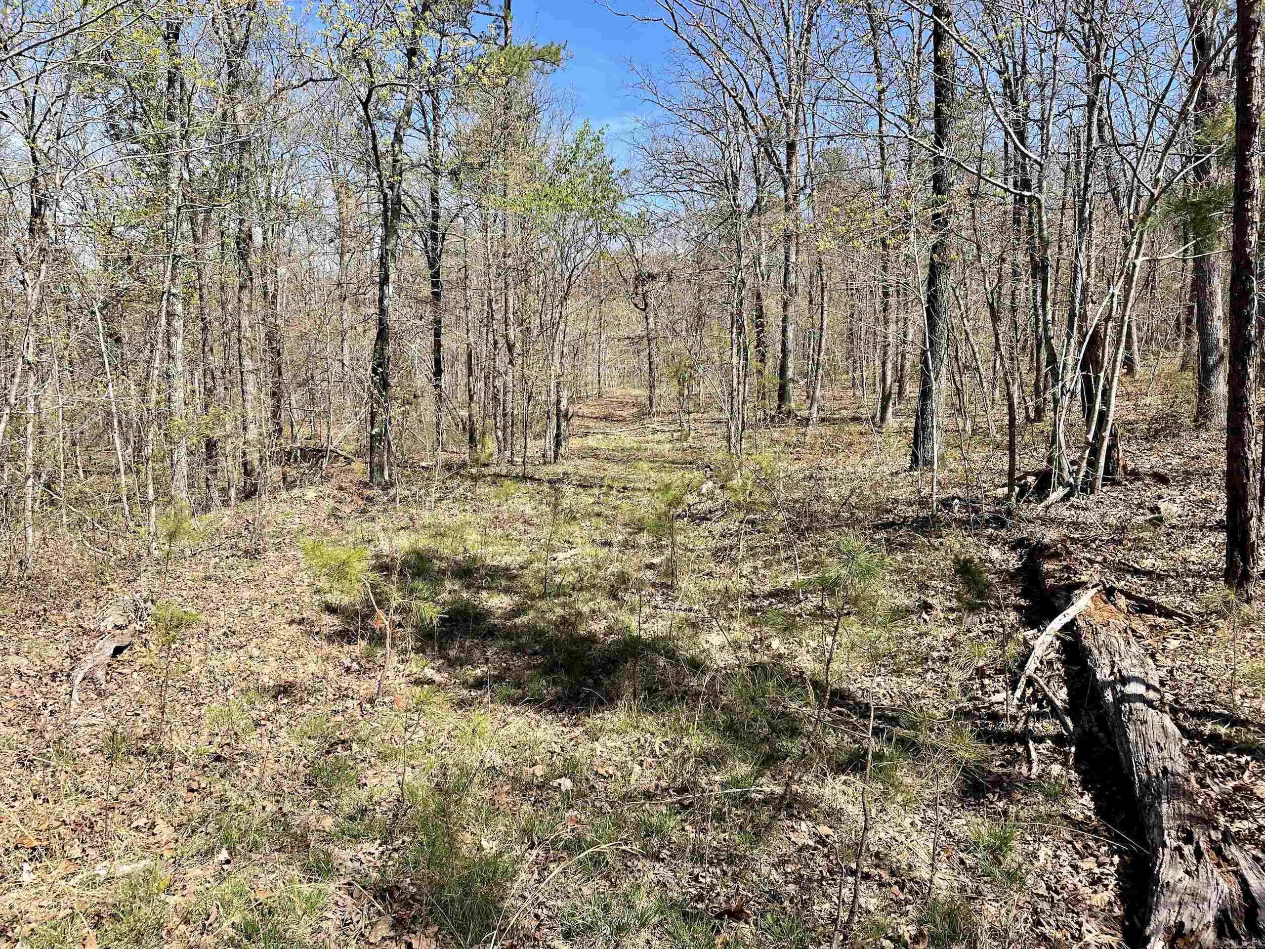 Not in Subdivision - Land