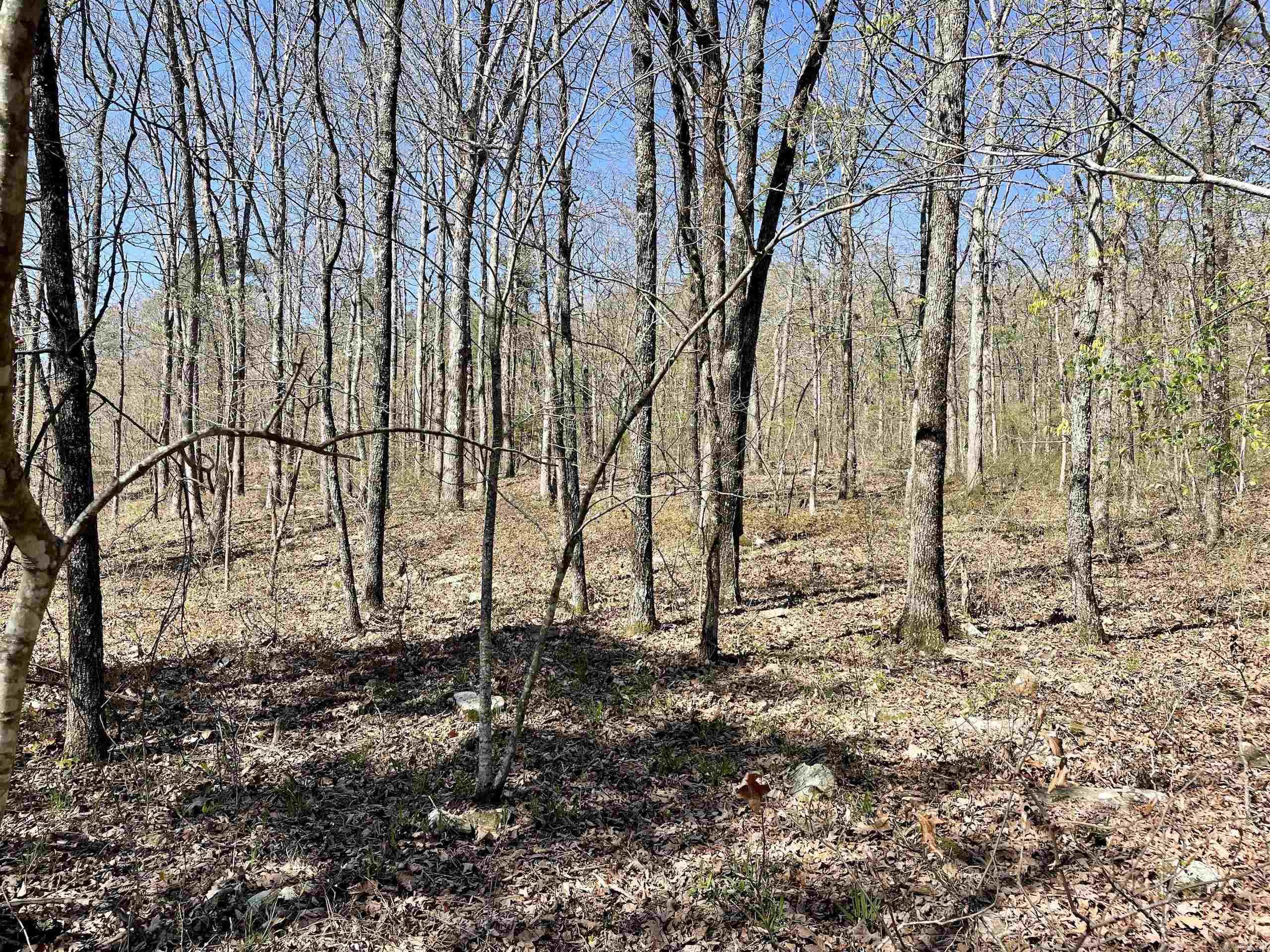 Not in Subdivision - Land