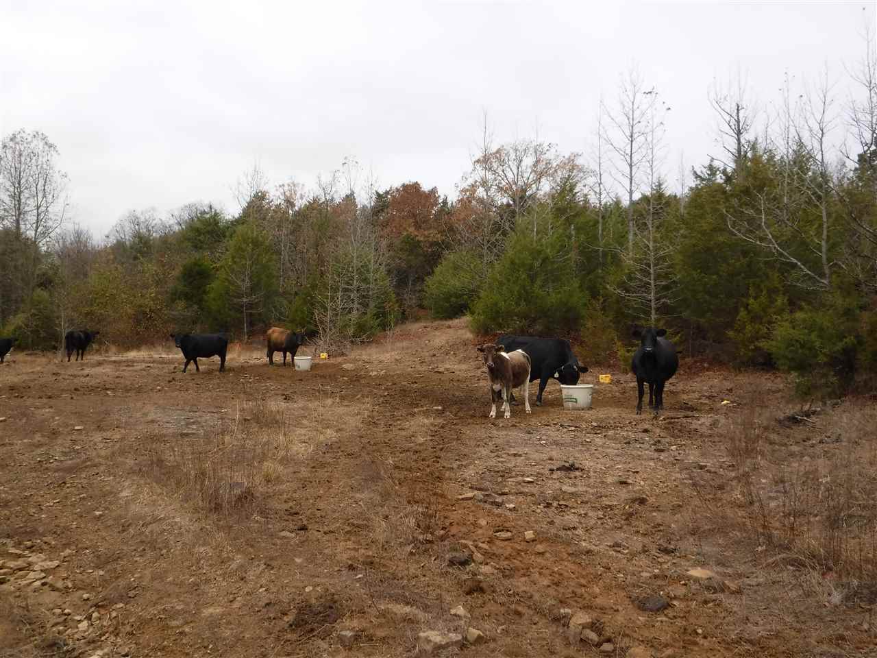 Metes & Bounds - Land