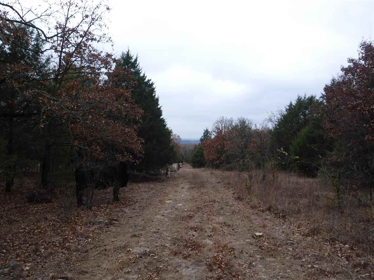 Metes & Bounds - Land