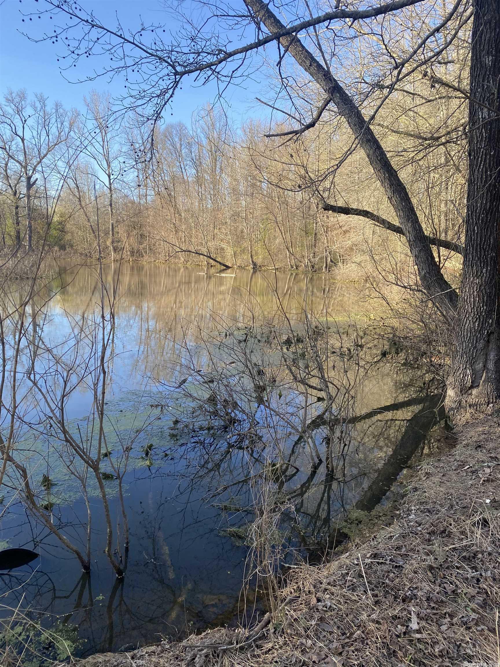 MCRAE ESTATES - Residential