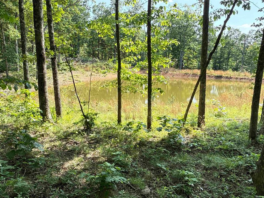 Have you ever dreamed of owning a tract of land surrounded by National Forest Land?  Here is your opportunity to own 19.58 +/- acres surrounded by Ozark-St Francis National Forest just outside Witts Spring in Searcy County Arkansas.  This is a great hunting tract that could become an excellent hunting tract with a little work.  Most of the property is level with a few rock outcroppings off the far northeast corner..  The property has a nice game pond on the West side of the property with deer being present with each visit.  There is no power to the property so will be ideal for building an off-grid property.  Properties like this don't come along very often so seize the opportunity to make this place yours in plenty of time for the fall hunts.