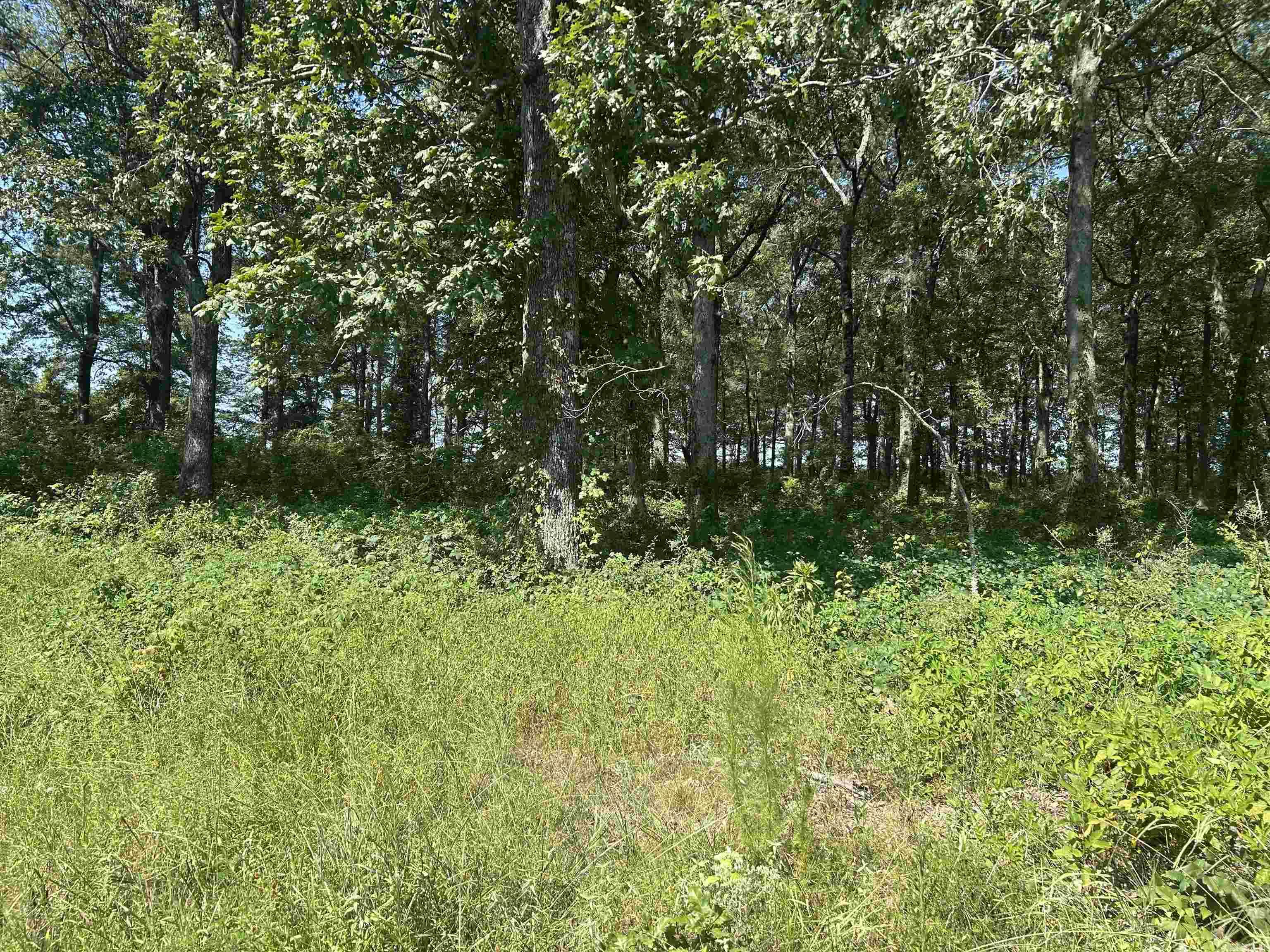 Not in Subdivision - Land