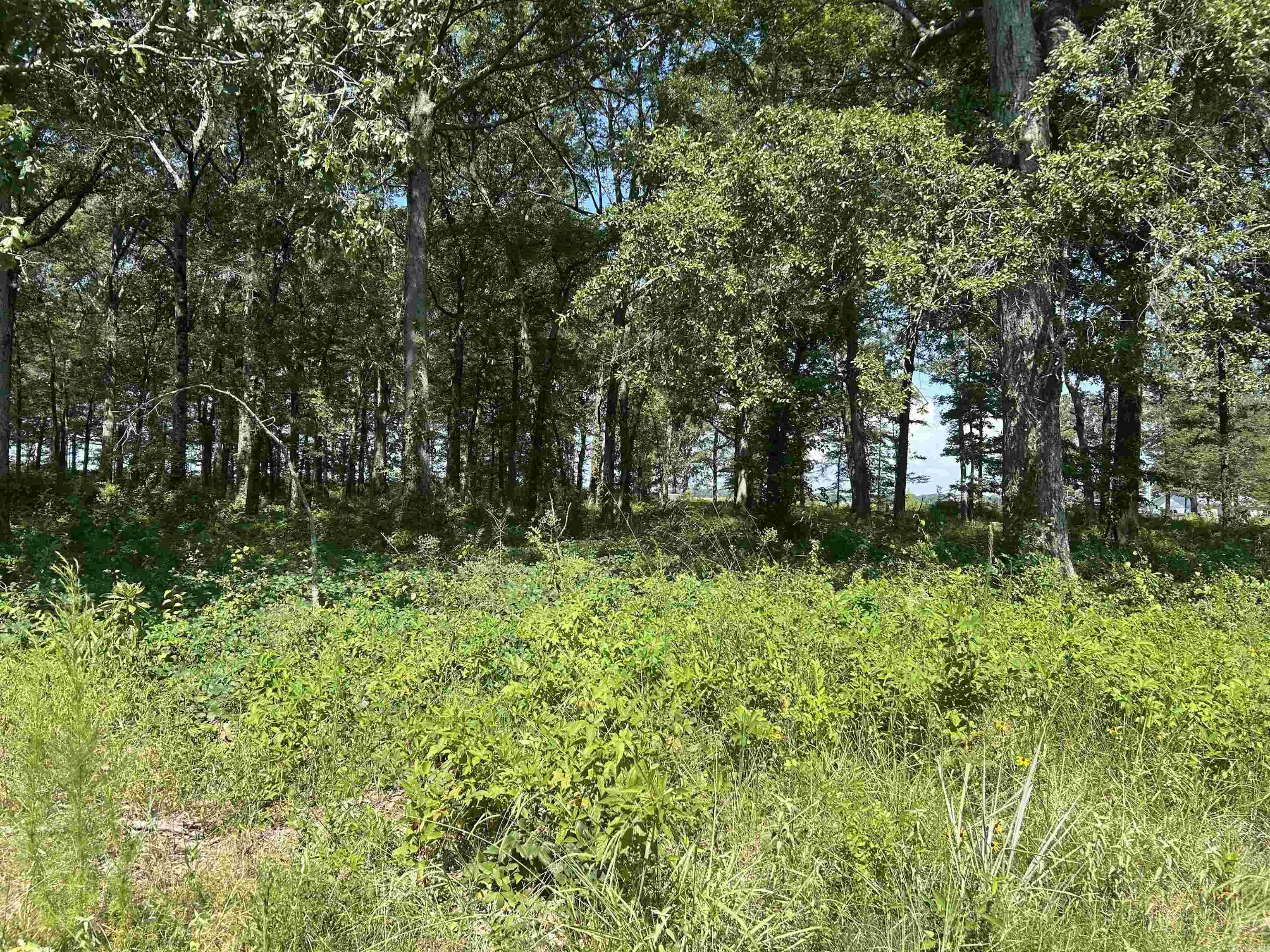 Not in Subdivision - Land