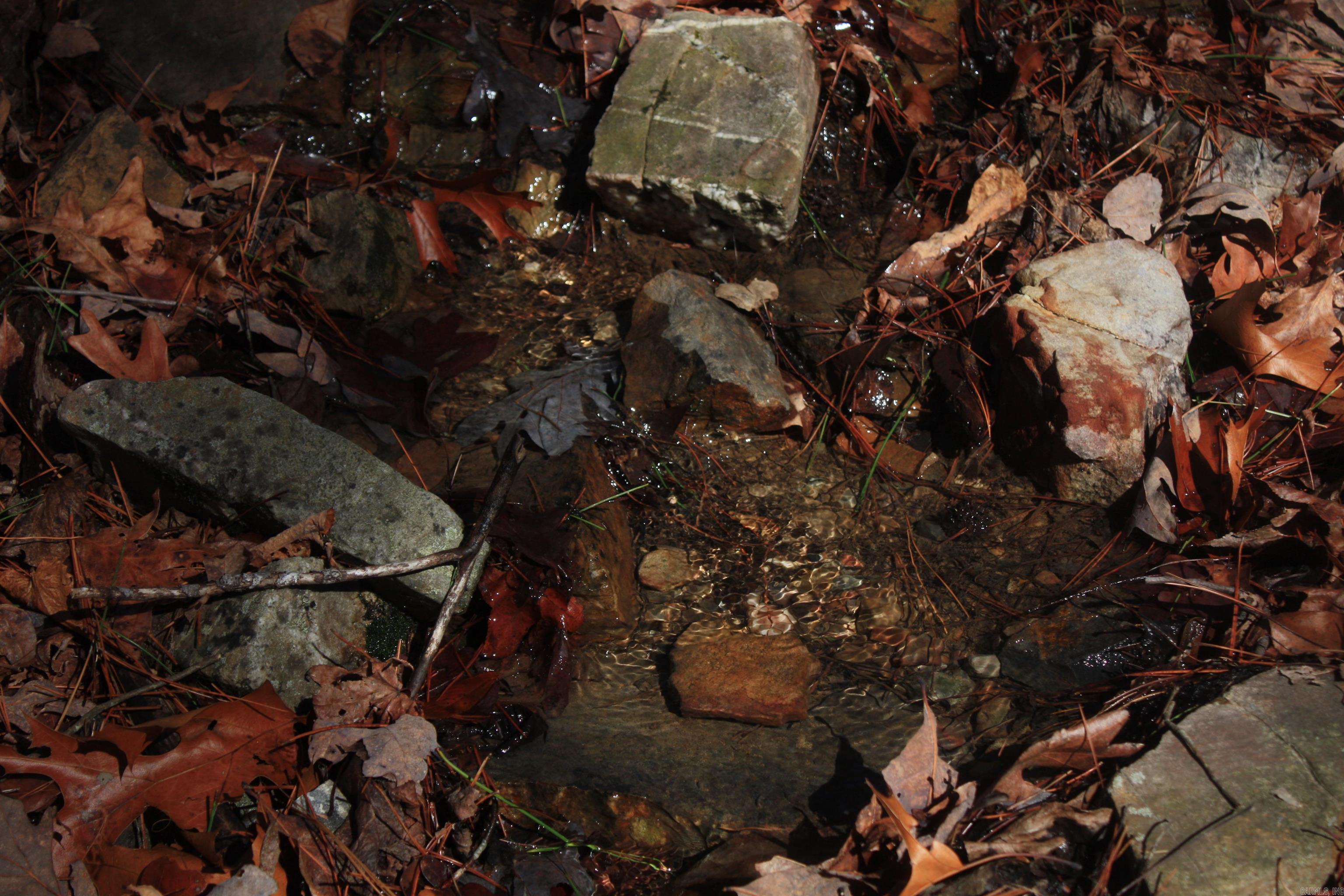 Not in Subdivision - Land