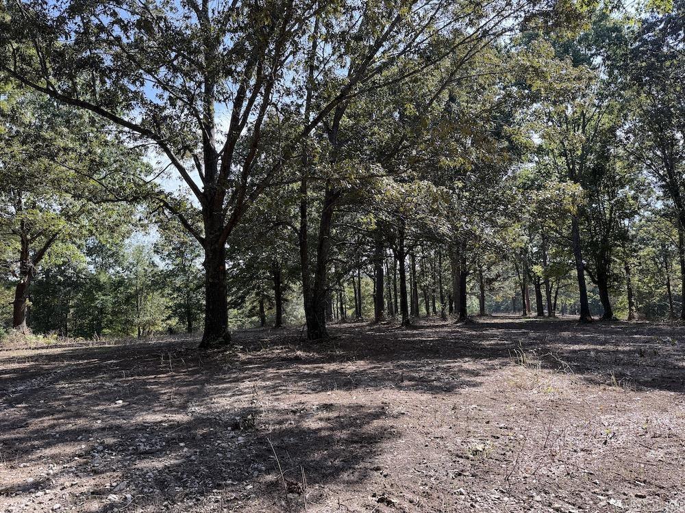 Not in Subdivision - Land