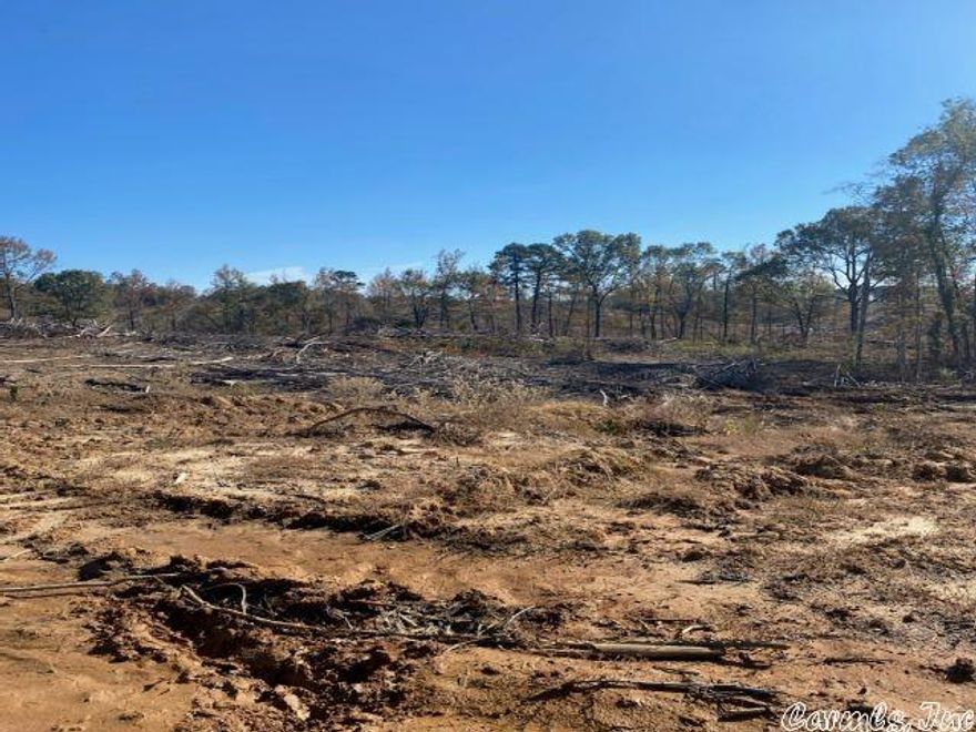 Tract is located 4 miles southwest of Tulip. Access is via woods from Dallas Co. Rd 301. Timber on the east 55 ac was harvested in 2021 and is ready to replant if so desired. The west 25 ac is a well stocked 20 yr old pine plantation ready for a first thinning. Tract is well suited for timber production and provides excellent hunting.