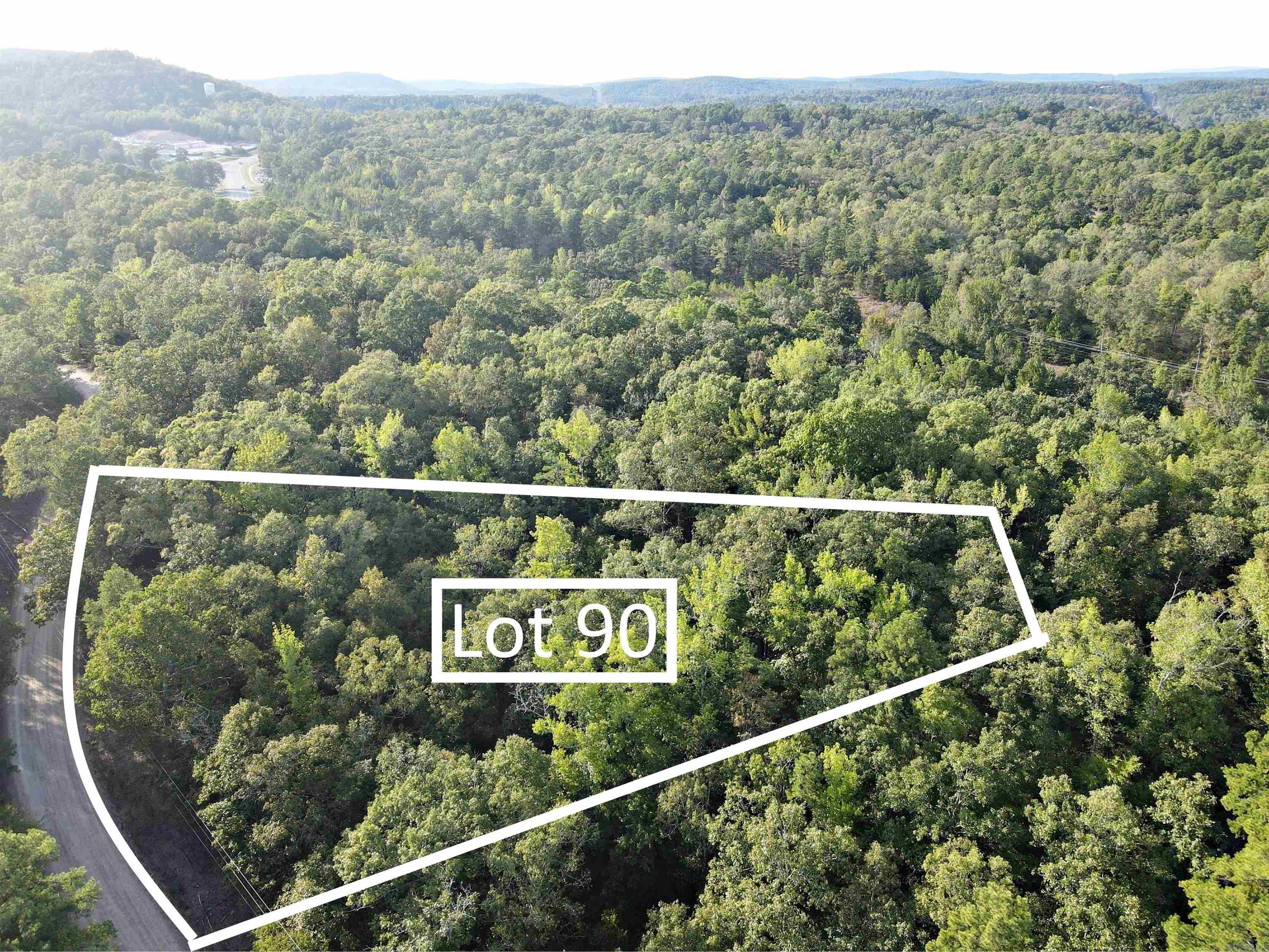 Beautiful wooded lot totaling 2.397 acres for secluded living in Fountain Lake School District. Lot 90 is across the street from Lake Juanita.