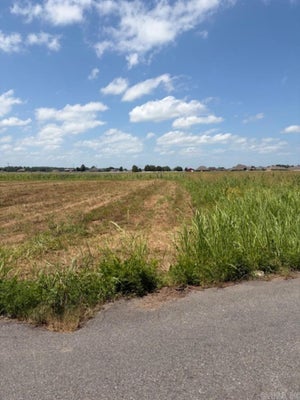 UPPER STEEL BEND RD, SCOTT, AR 72142 - Image c68fdee272ebdfc529b0bb49f66c6749/2512450731