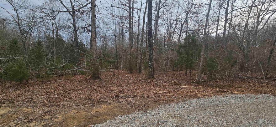 Tired of paying for accommodation every time you visit the Twin Lakes area? Perfect lots to make your own campground area. Park your RV and enjoy nature. Listed at only $3,000.