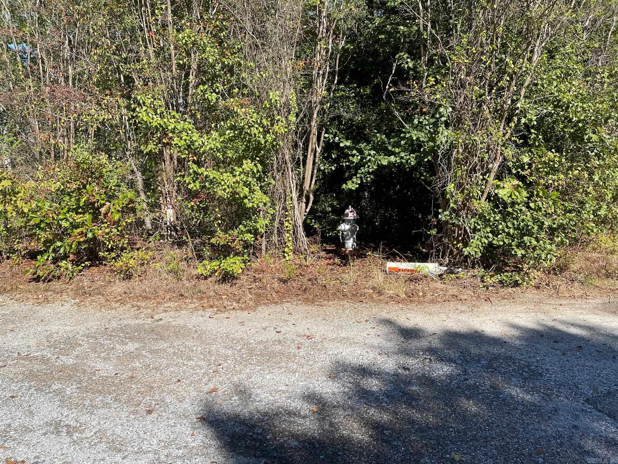 2 wooded lots at the end of Russwood Lane W, each over 1 acre. Lots are deeply sloped but great for building. Lot 5: 1.17 ac; Lot 6: 1.22 ac
