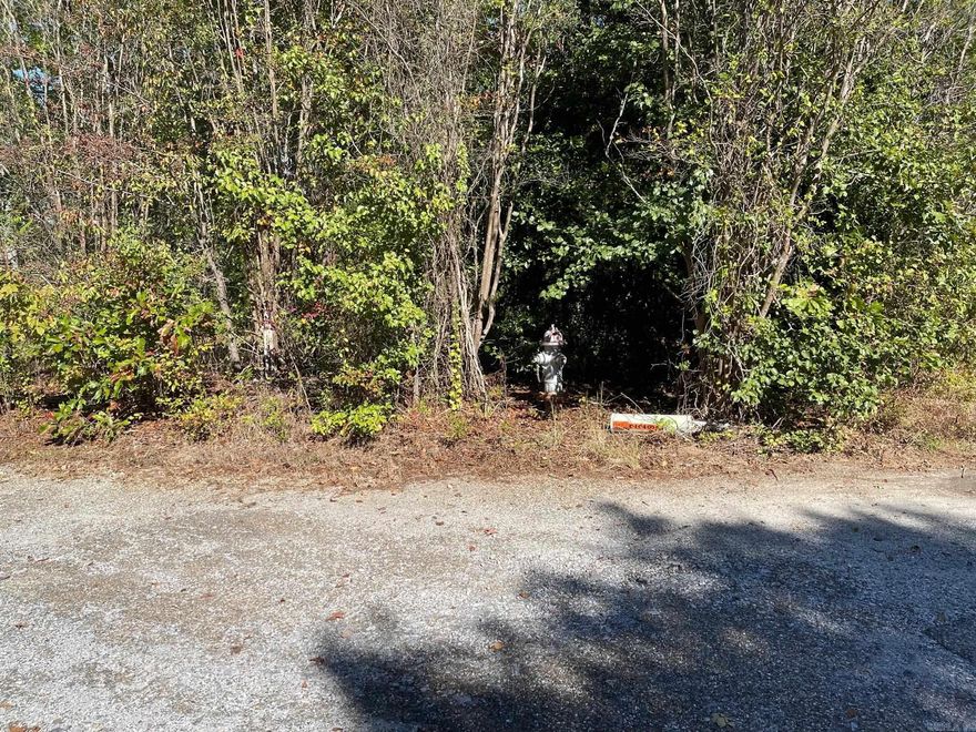 2 wooded lots at the end of Russwood Lane W, each over 1 acre.  Lots are deeply sloped but great for building.  Lot 5: 1.17 ac; Lot 6: 1.22 ac