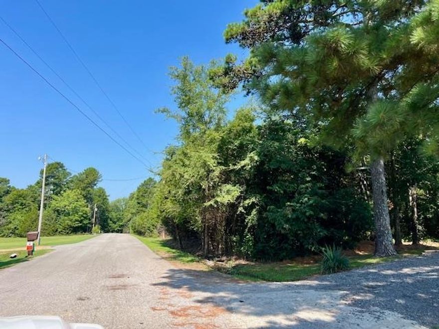 1.56 acres of vacant land perfect to build a house on! 3 lots (Lots 11, 12, 13) on a paved road between Pleasant Plains & Southside areas. Lot restrictions are under the documents tab, in brief: No principal residential structure to be less and 1,000 SF, no trailer, basement, garage, barn or other outbuilding used for human habitation, no sheet iron or tin roofs. Seller does not want to separate the lots. There is a fire hydrant already in place! Excellent find!