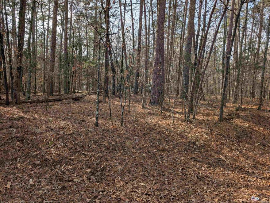 Beautiful flat wooded lot, close to Cortez golf course. Come see this lot to build your home on and be surrounded by trees.