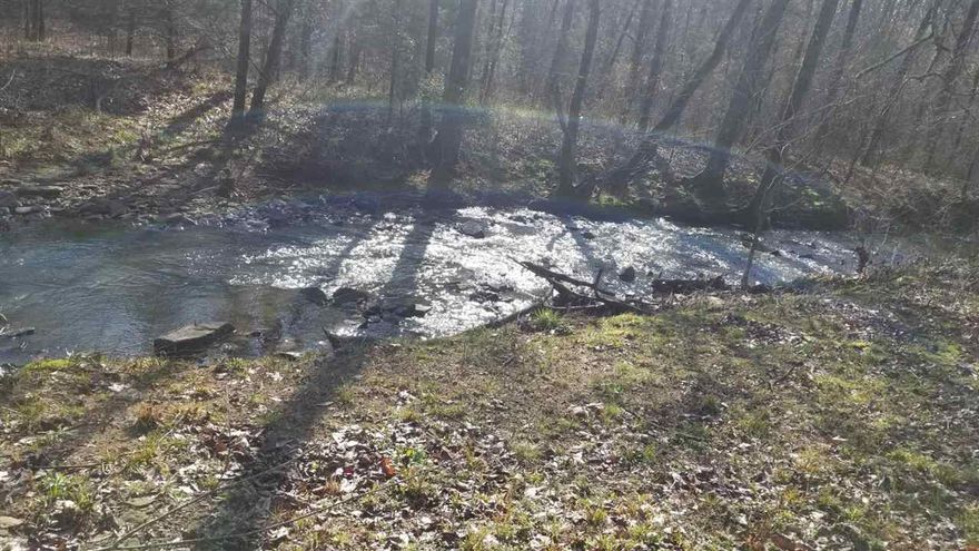 Land is ready for a house with septic, electric, & water available. This land a truly a great buy for any builders dream home. It has two natural springs & a flowing creek. Hurry it was last long