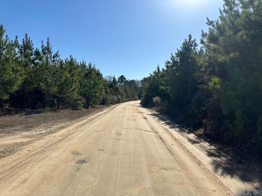 The Slaughter Road Tract is in the west-central part of Union County, Arkansas approximately 6.0 miles west of El Dorado.  Access to the property is good from Slaughter Road, a gravel county road. There are typical rural utilities (electric, phone, and rural water) on Slaughter Road. This tract was planted in 2017 with loblolly pine that provides a great timber investment! Whether you are looking for a place to build your dream home, convert the plantation to pasture and build a farm, keep the tract as a timberland investment, or just looking for a place to hunt or just ‘get away’, check on the ‘Slaughter Road Tract’!  Contact the Neeley Team with United Country – Neeley Forestry Service, Inc