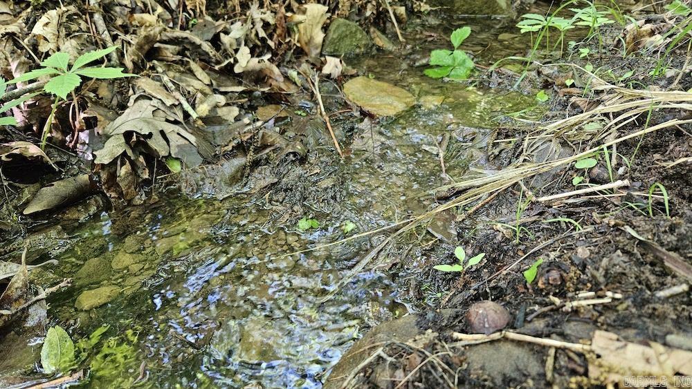 Not in Subdivision - Land