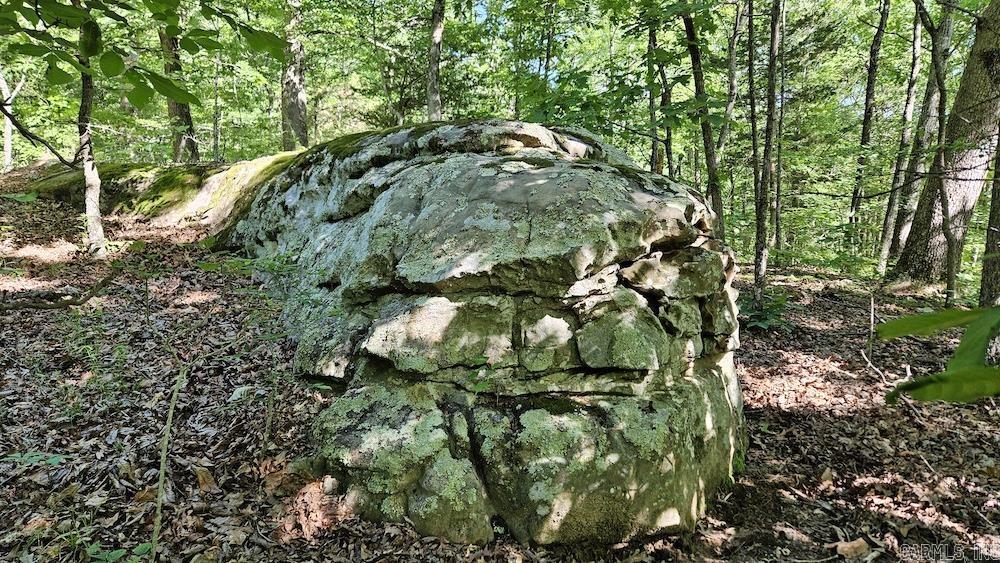 Not in Subdivision - Land