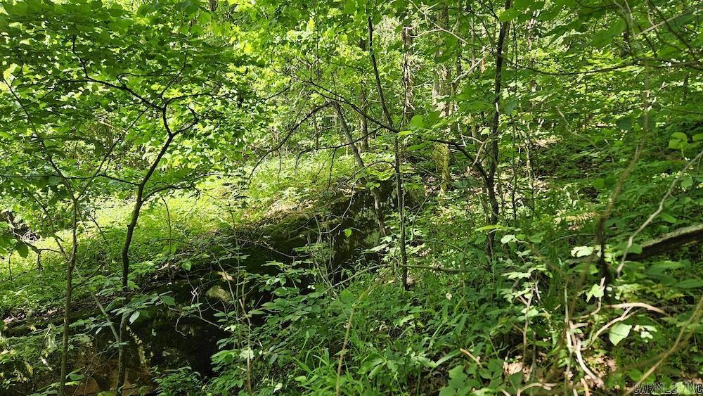 Not in Subdivision - Land