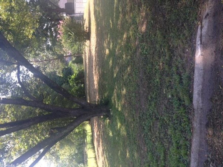 Lot in an established area.