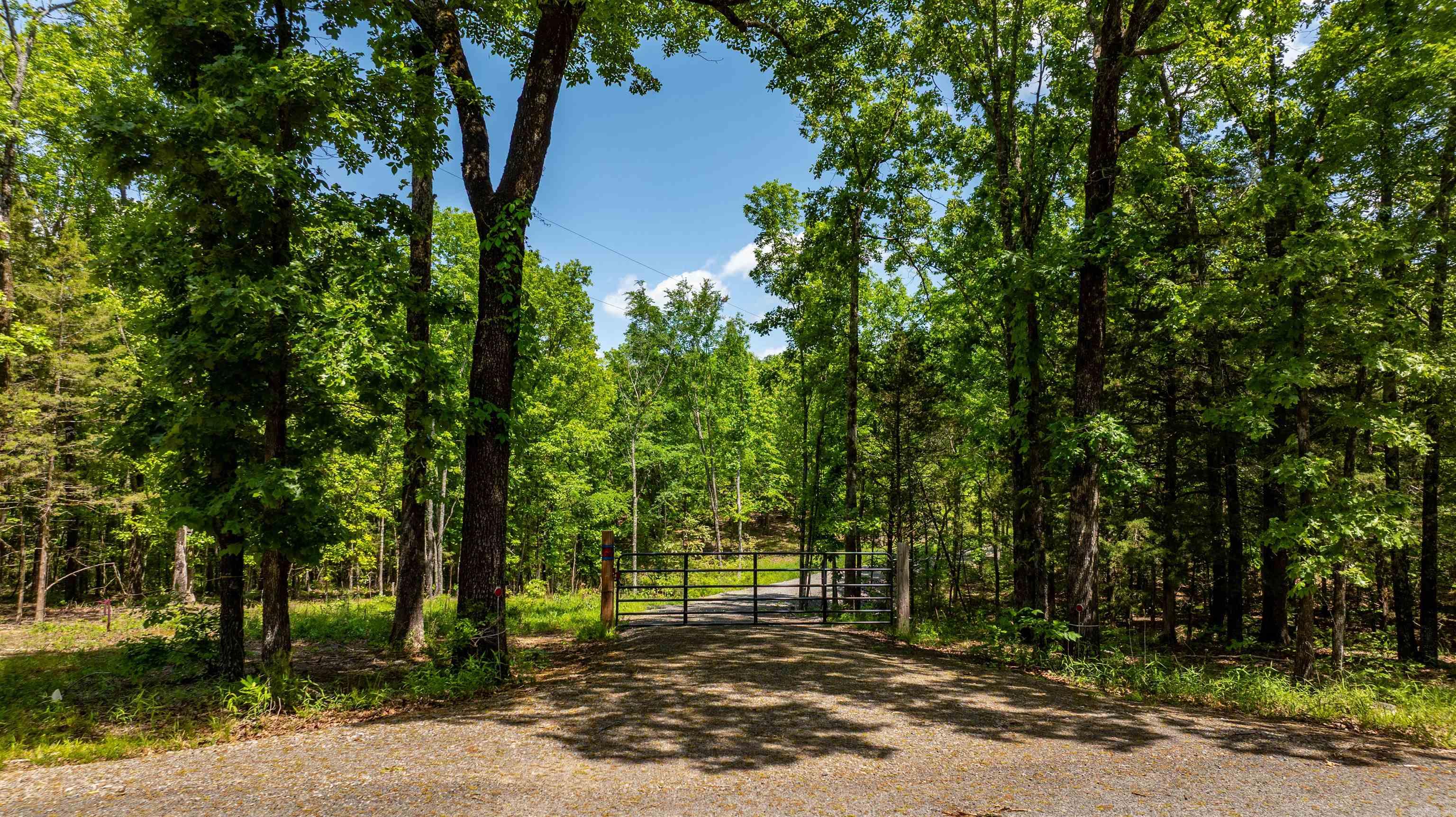 if country seclusion, but close to "city" living such as shopping, groceries & restaurants is what you're seeking - you must go check out this property on a dead-end road. Pick your school, Greenbrier or Conway; school-choice is an option. Forget a digital white noise maker; you have all the sleep-inducing properties for a sound and peaceful living: rolling hills, dry-weather creek, wildlife, timber all tucked back on this multiple building site property. Water/meter, electricity and a newly constructed driveway with new culverts are ready for you to mark your building spot or park your RV there for a lil oasis, and dont forget you could do a "tiny-house community".