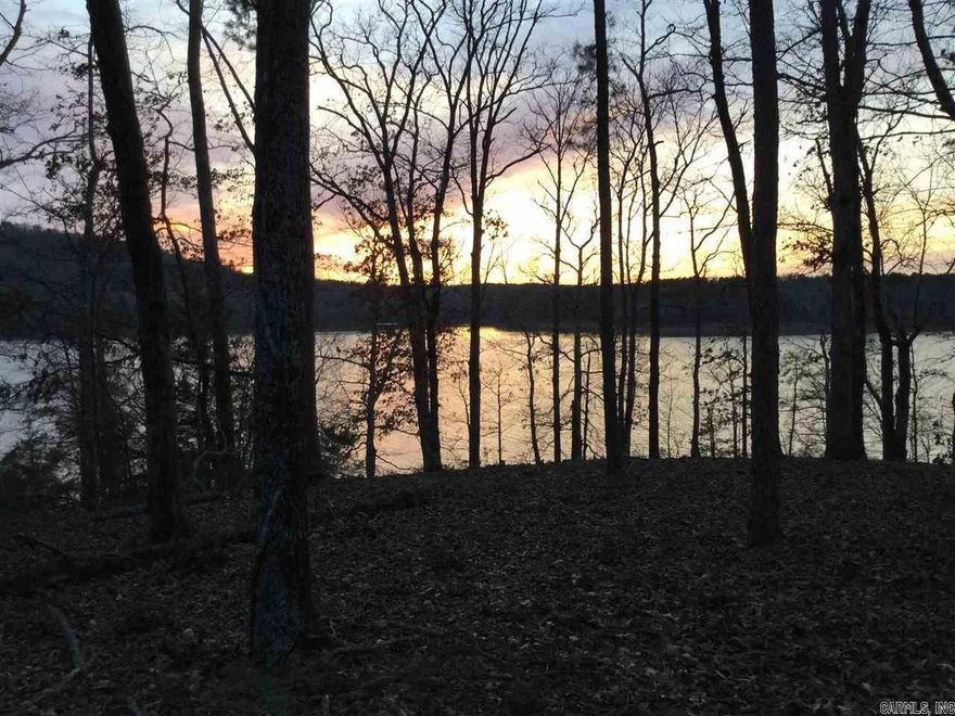 Beautiful, private Lakefront property with a gentle slope to the water.  Amazing view of the lake and the sunset is spectacular!  Level area to build, partially cleared with electricity on the lot.  Ready to build or camp on!  Asphalt drive to the property and private gravel drive into your oasis.  You will need Corp permit for a maintained access path to the water but a foot path is there.  Boat launch 4 miles away.  See agent remarks.  Asphalt drive is a prescriptive easement to the property.