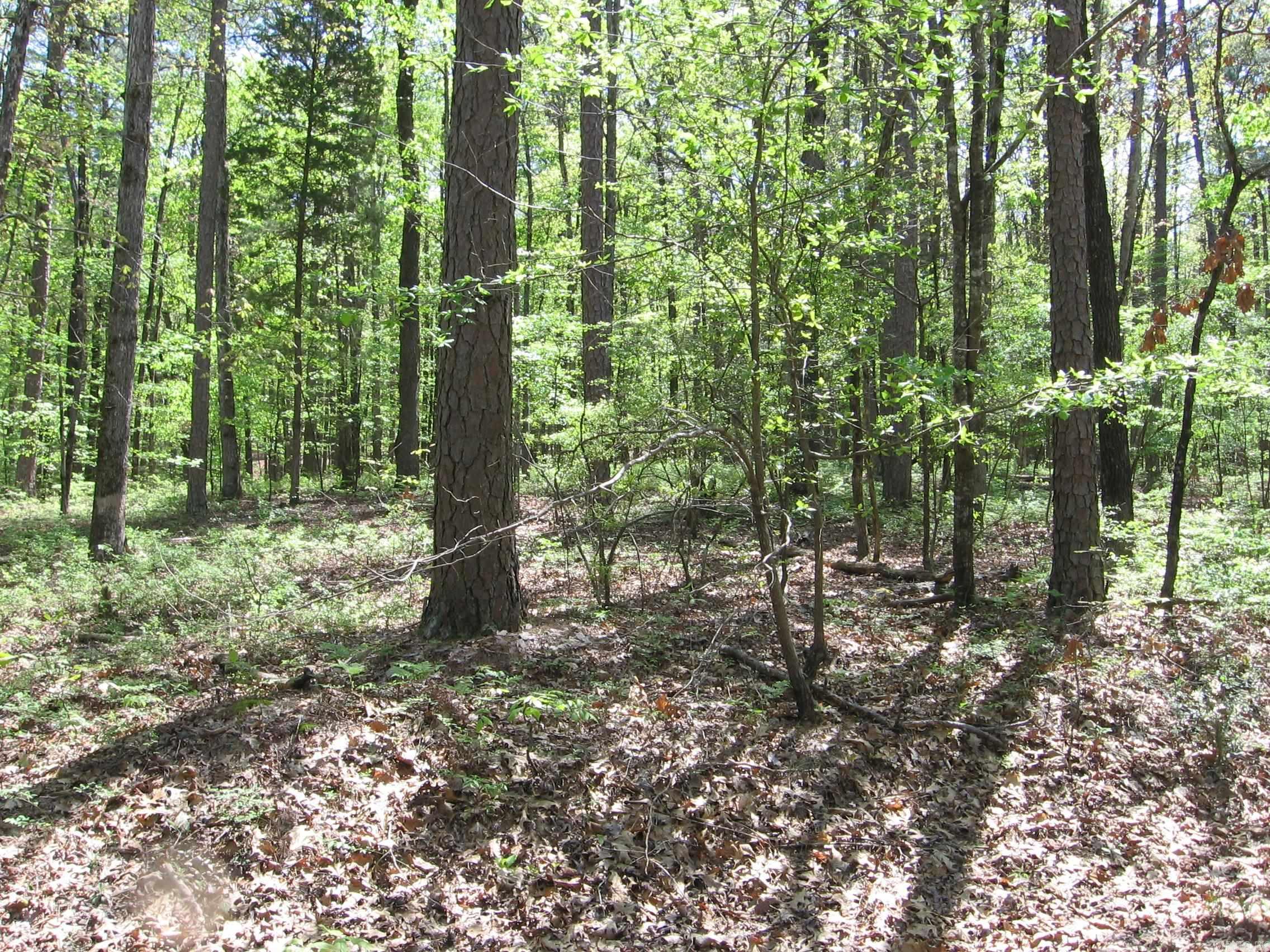 WONDERFUL BUILDING LOT ON CUL DE SAC. ONLY 1.5 MILES FROM WEST GATE. NEAR DESOTO GOLF COURSE & LAKE DESOTO. ONLY MINUTES FROM THE DESOTO CLUB ONE OF TOP RESTAURANTS IN THE VILLAGE.