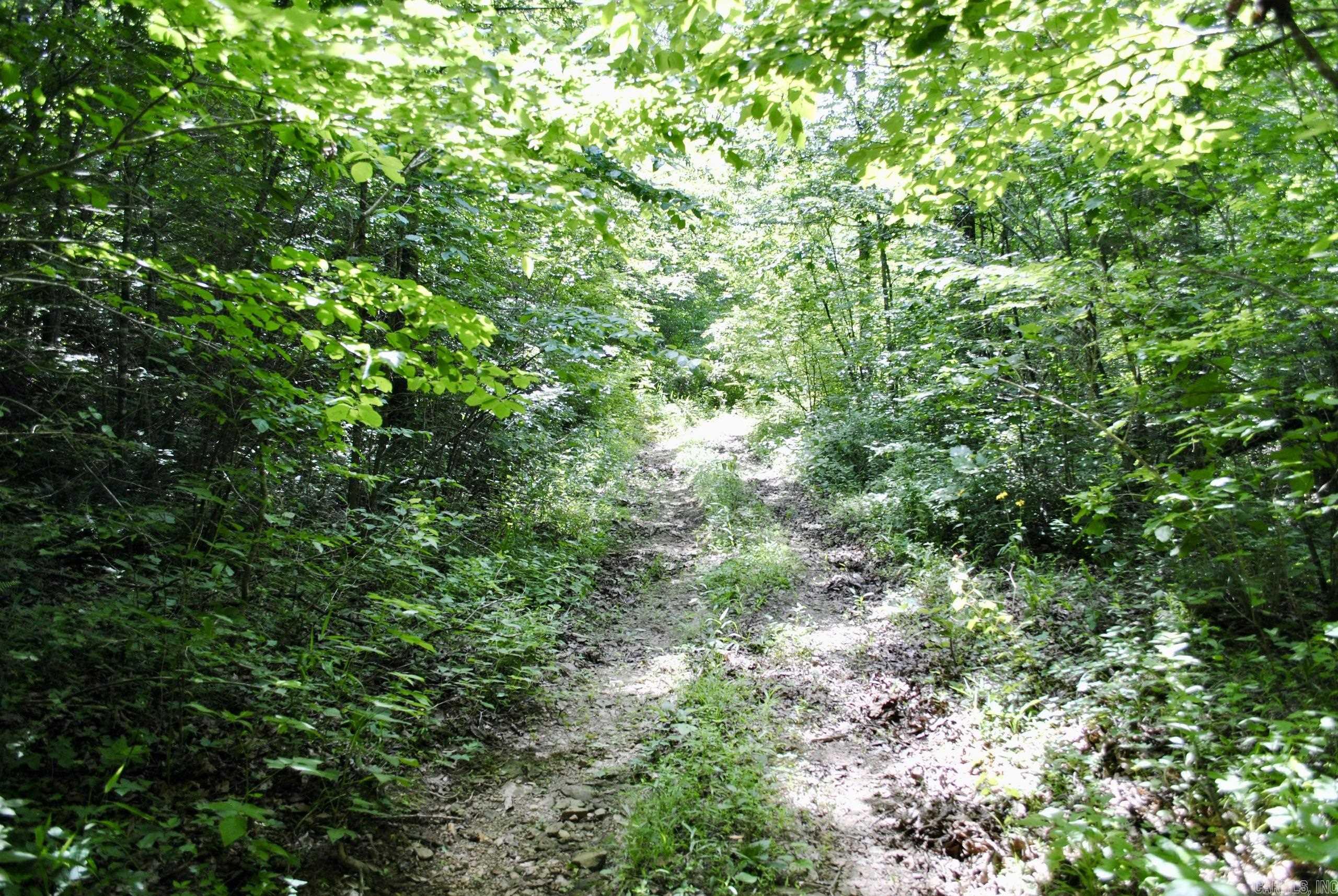 Not in Subdivision - Land