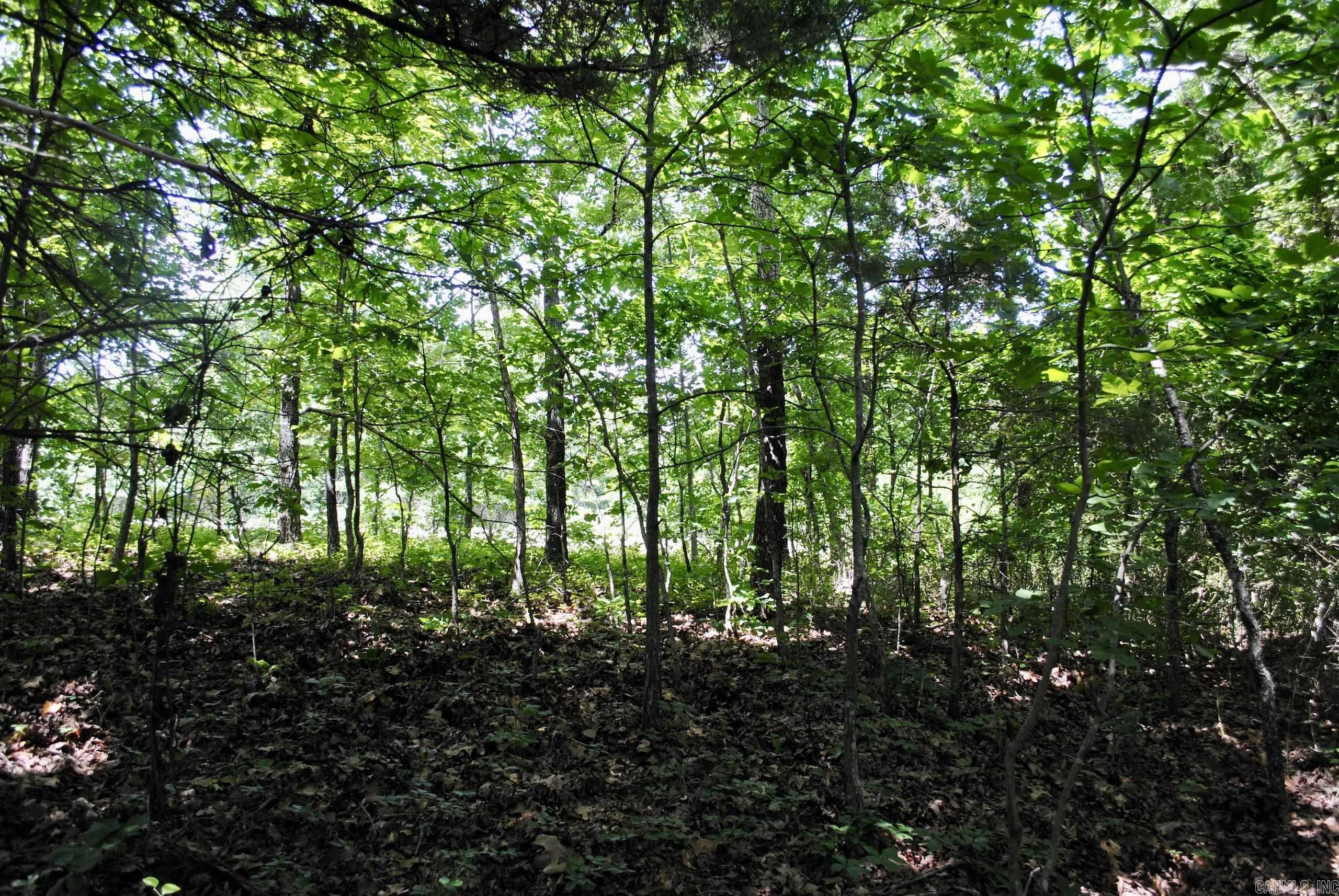 Not in Subdivision - Land