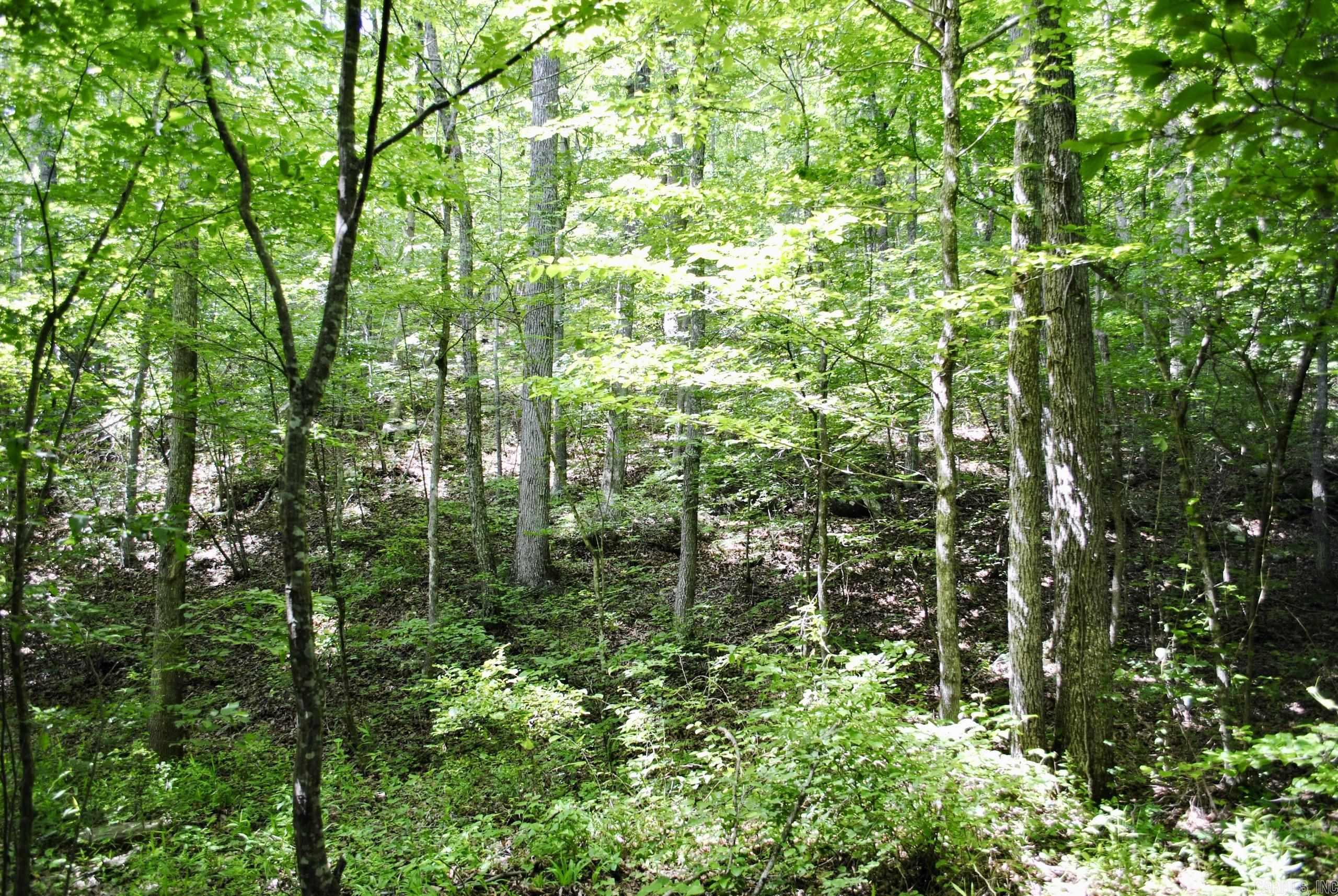 Not in Subdivision - Land