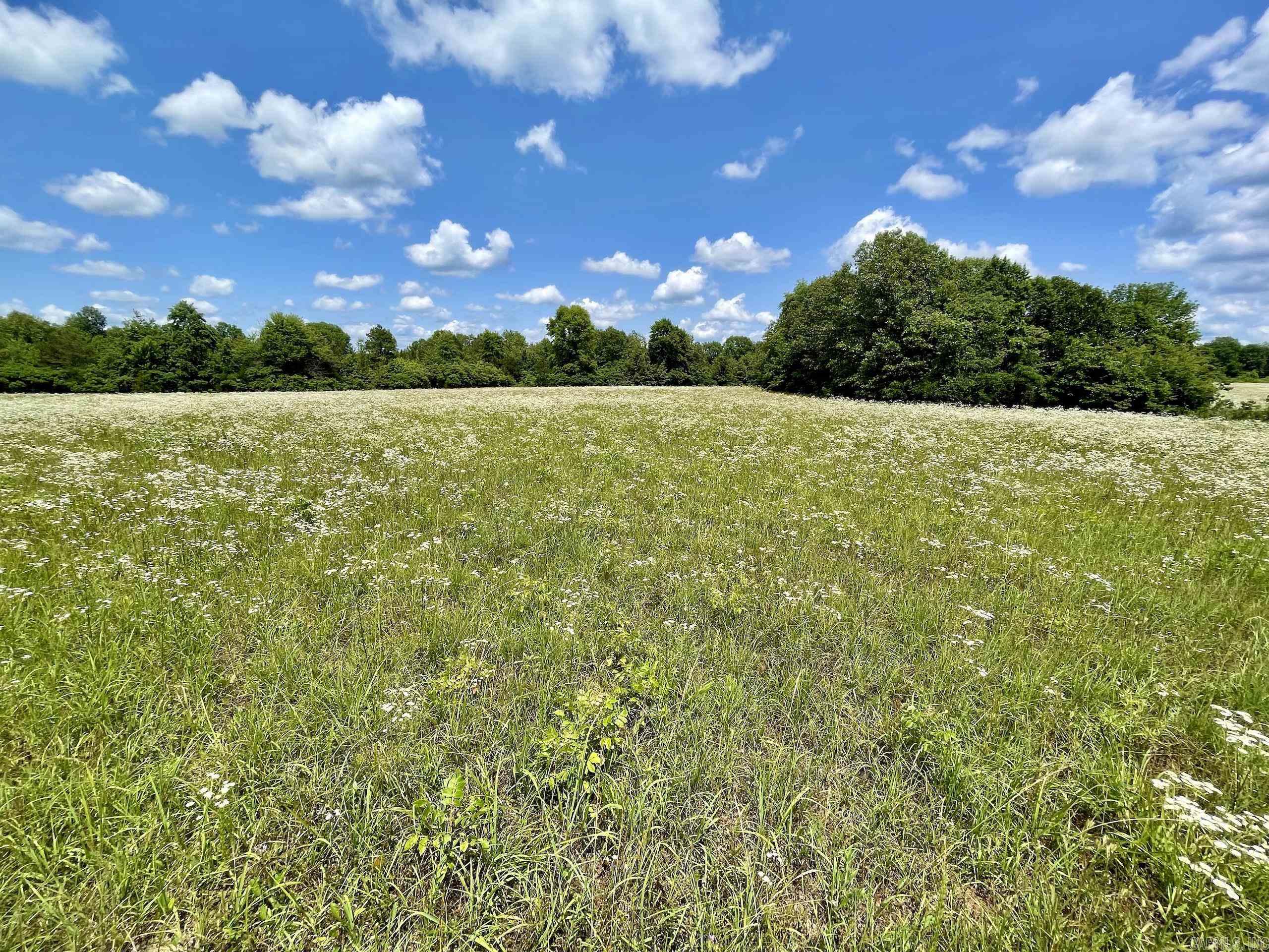Located at the end of a county road, this property has a great mix of open ground, thickets, mature timber and a water source that is habitat for a good population of Deer, Turkey and Bear. The fields along the road are perfect for building any type of building, including that family cabin or your forever home. Some fields have been left fallow to allow thickets for wildlife but could easily be restored to pasture. Nice ridges with mature hardwood timber help to funnel wildlife to some great stand locations. At the bottom of the ridge, there is the headwaters of the Little Red River. It is not much more than a creek here, but it does have some water year-round suitable for wildlife to use. Electricity is on-site, and rural water is nearby. There are nearly 200 additional acres that could be purchased. Minerals do not convey.