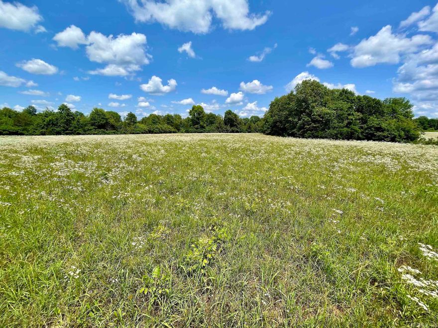 Located at the end of a county road, this property has a great mix of open ground, thickets, mature timber and a water source that is habitat for a good population of Deer, Turkey and Bear. The fields along the road are perfect for building any type of building, including that family cabin or your forever home. Some fields have been left fallow to allow thickets for wildlife but could easily be restored to pasture. Nice ridges with mature hardwood timber help to funnel wildlife to some great stand locations. At the bottom of the ridge, there is the headwaters of the Little Red River. It is not much more than a creek here, but it does have some water year-round suitable for wildlife to use. Electricity is on-site, and rural water is nearby. There are nearly 200 additional acres that could be purchased. Minerals do not convey.