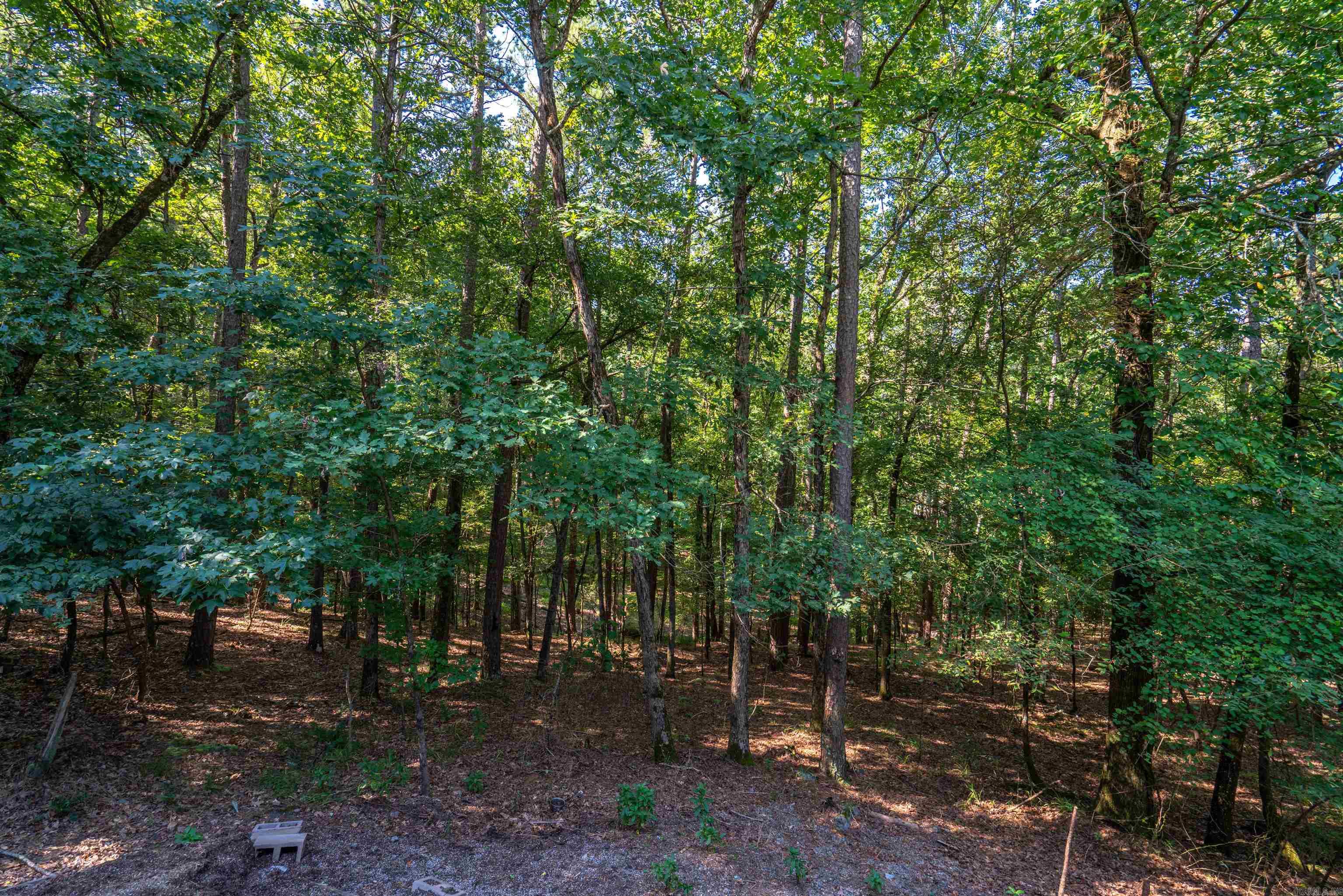 Hickory Nut Mountain Estates - Residential