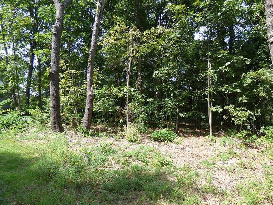 This is a South Golf Course lot with Great Views! The lot sits up on hole #6 overlooking the Ozark Mountains. Great spot to build that cabin get away or special home you've dreamed of having.