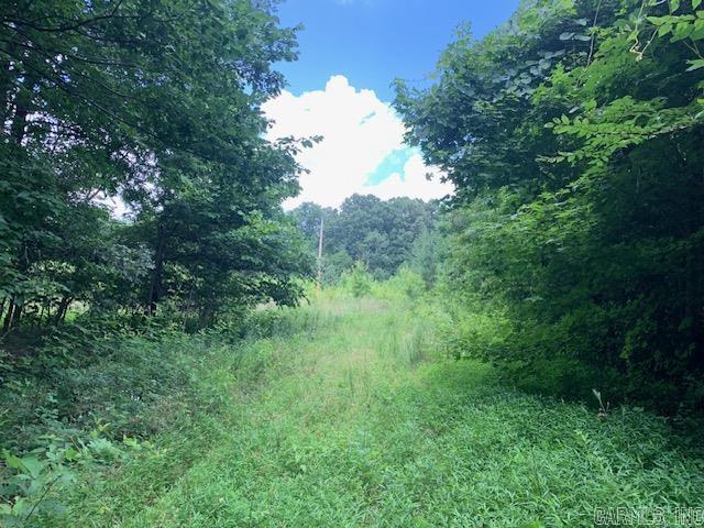 36.43 acres of pristine country land. You won't find this often in this part of the county. Trophy bucks are common. Don't miss out on this rare opportunity. Utilities are close by to property.