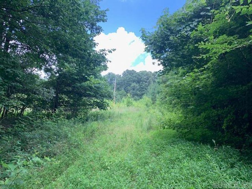 36.43 acres of pristine country land. You won't find this often in this part of the county. Trophy bucks are common. Don't miss out on this rare opportunity. Utilities are close by to property.
