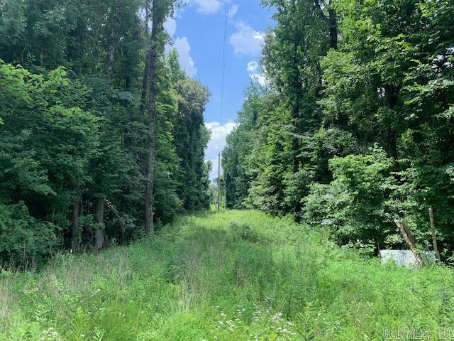 Metes & Bounds - Land