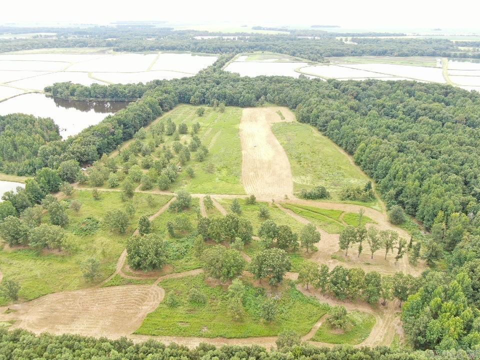 Lonoke - Farm