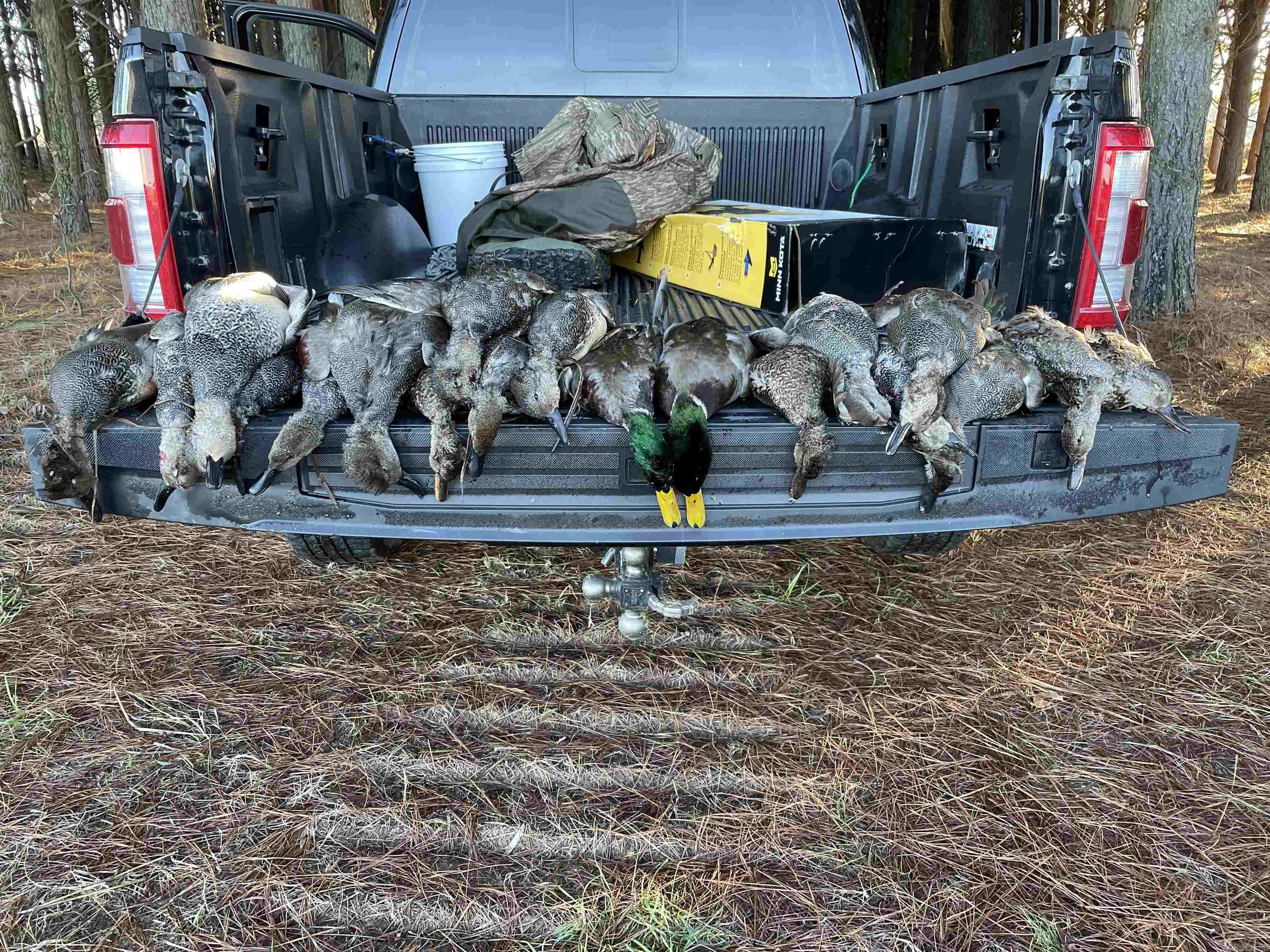 Lonoke - Farm