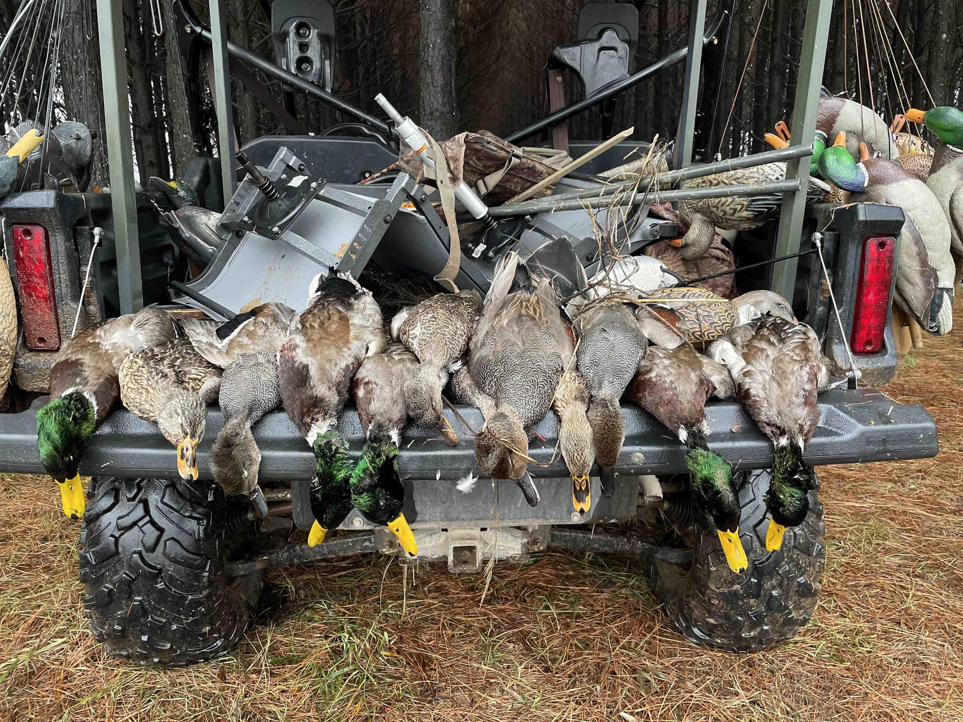 Lonoke - Farm