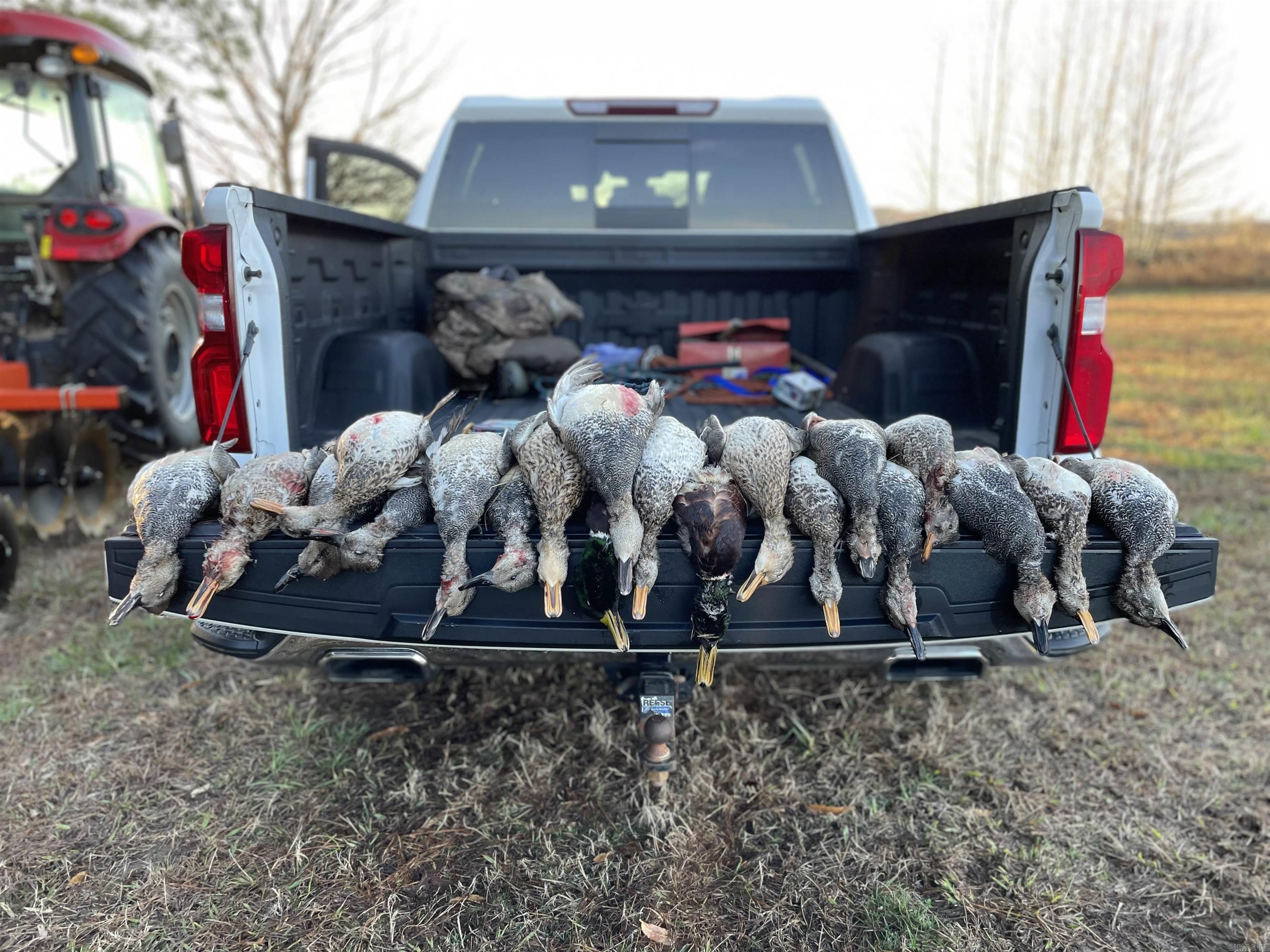 Lonoke - Farm