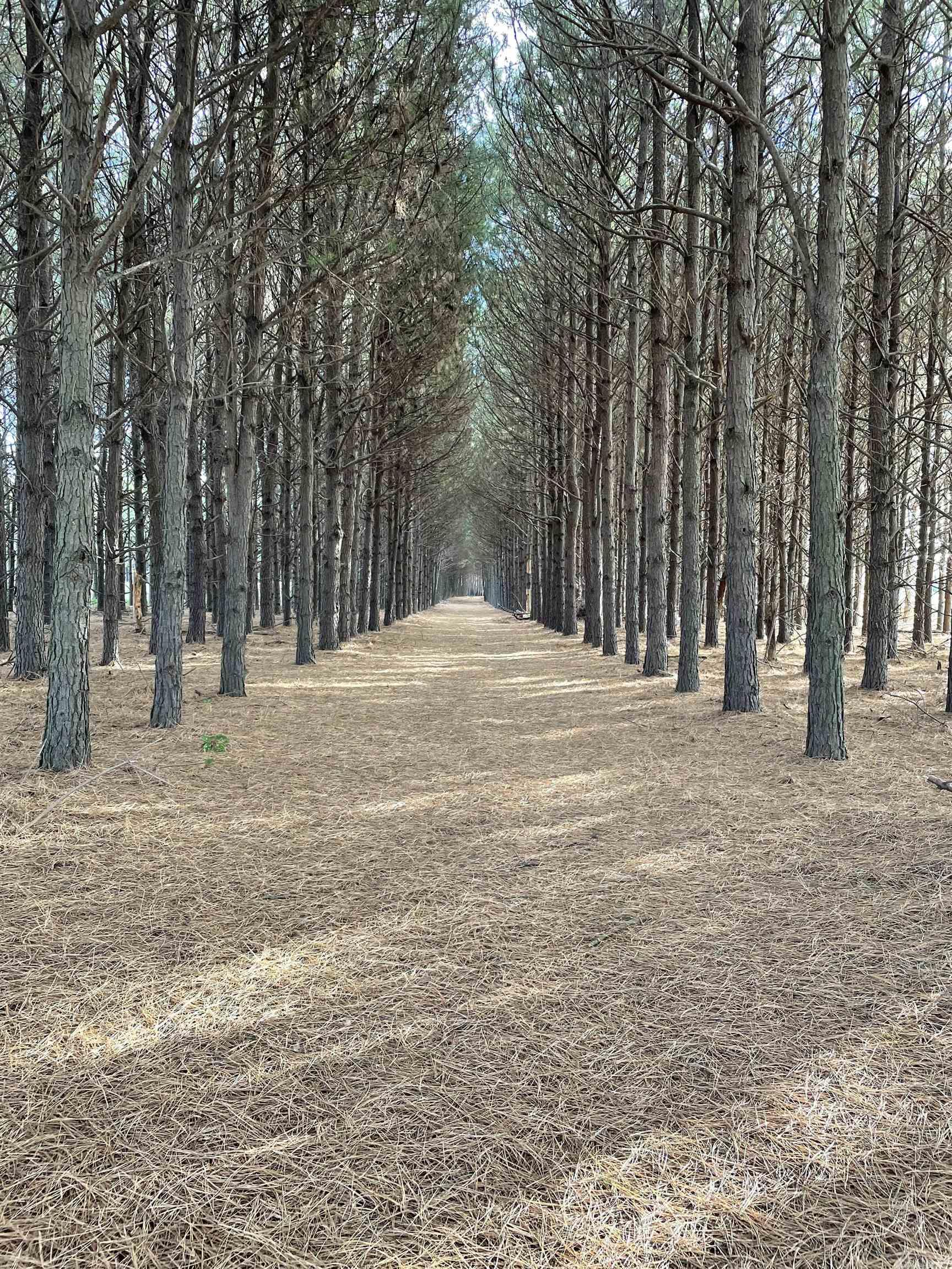 Lonoke - Farm