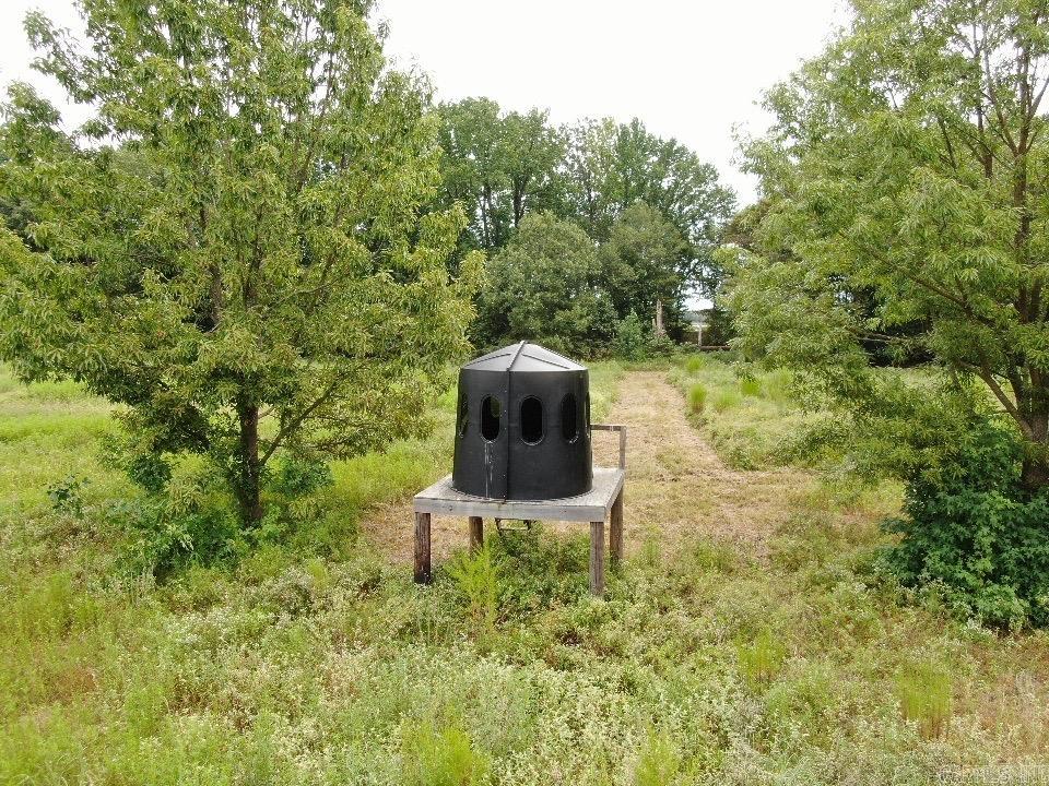 Lonoke - Farm