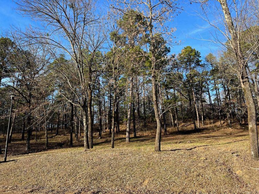 Are you dreaming of retreating to the beautiful Little Red River? This picturesque land is the perfect place to build your cozy dream home. Escape the hustle and enjoy a quiet community that offers a private community pool, boat ramp and dock on the Little Red River and minutes away from Greers Ferry Lake! This gated community offers modern amenities, access to hiking trails, boating, swimming and world-record trout fishing. Access to all the Natural State has to offer is only an offer away. Let us make your dream a reality!