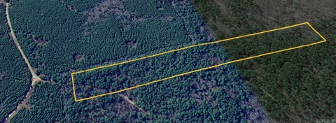 MLS: 24032403